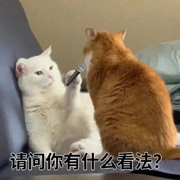 新手池只有温妮吗截图