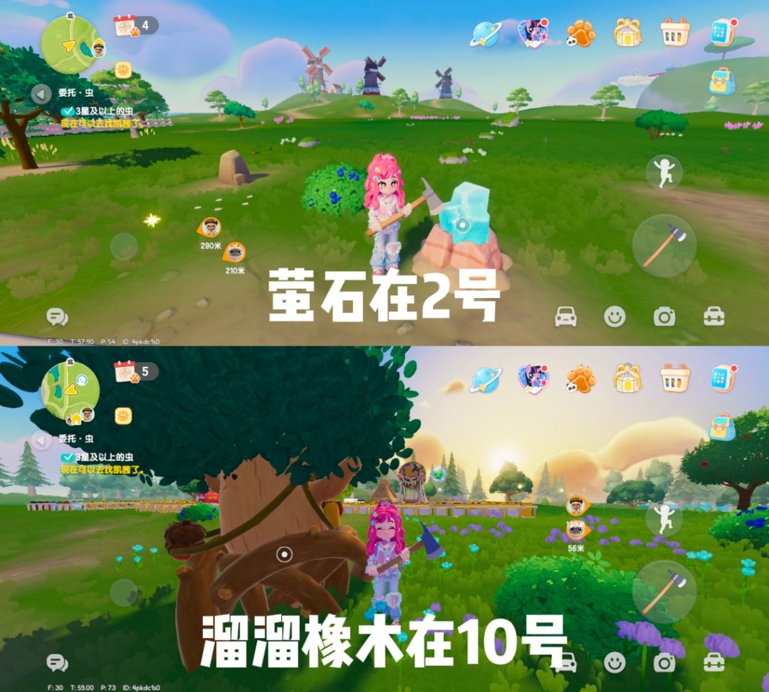 8月15日溜溜橡木和萤石 1