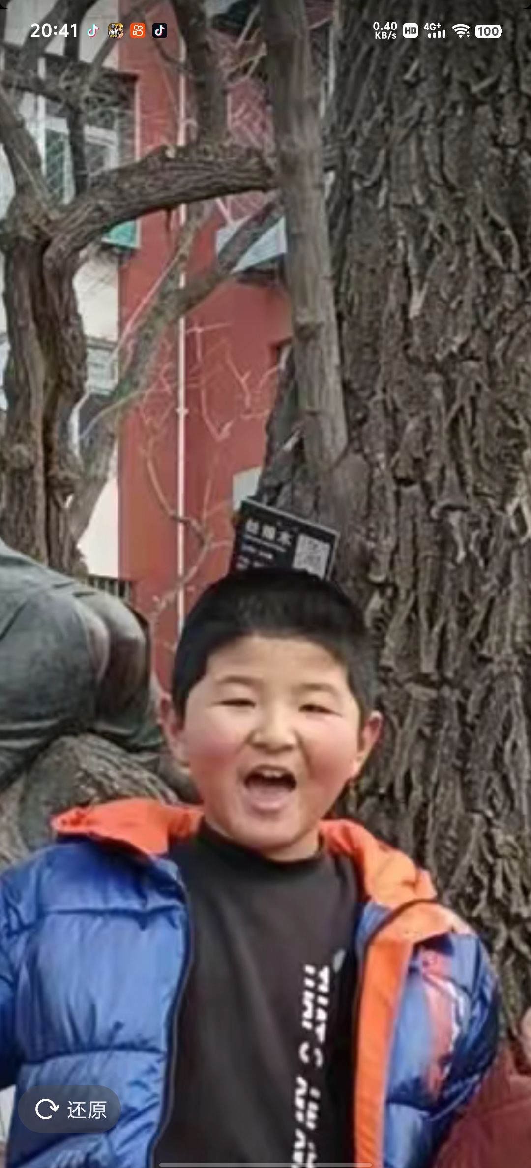 动态图片 1