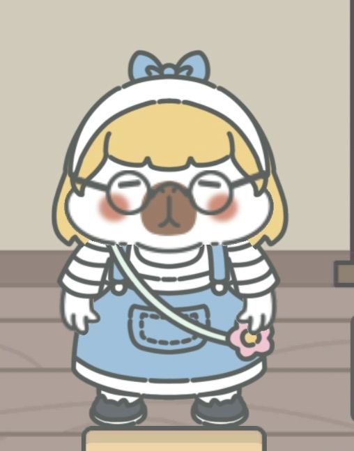 宠物日常穿搭分享 2