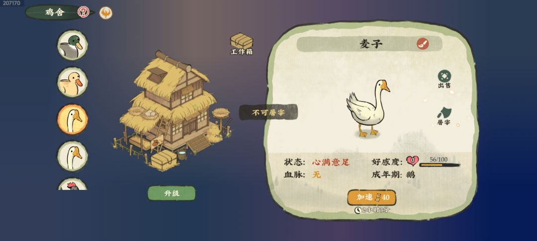 鹅不能杀吗 1