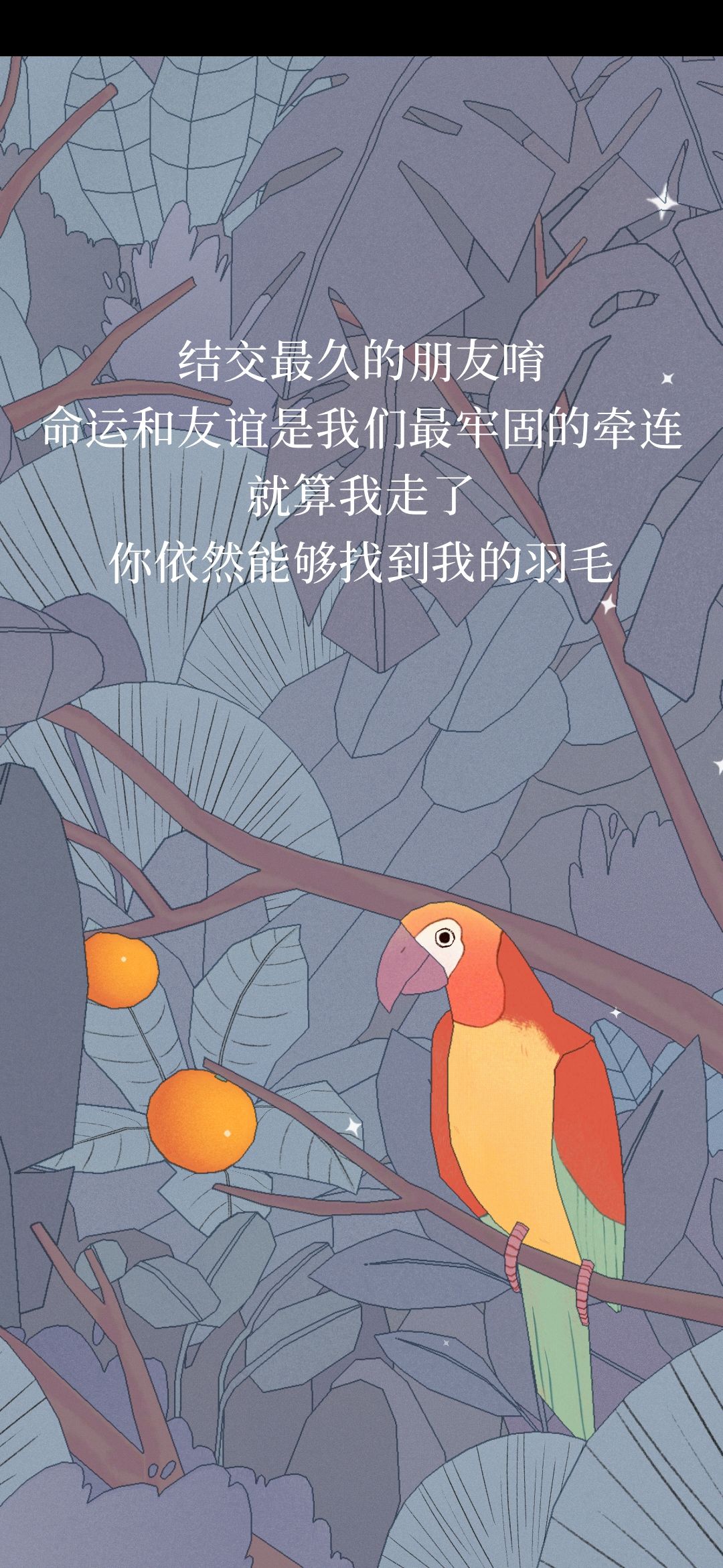 动态图片 6