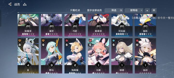 配队截图