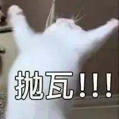 求偷 2