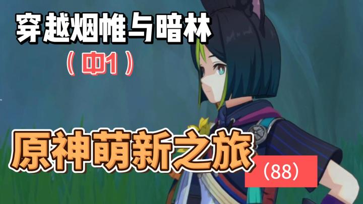 从零开始玩【原神】88:穿越烟帷与暗林(中1)截图