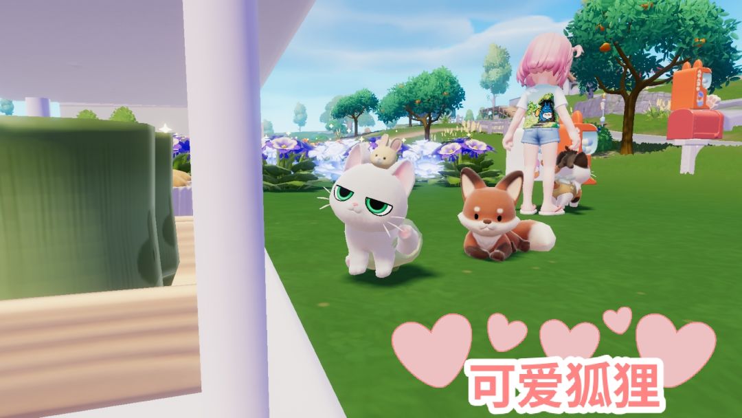 8.2萤石/溜溜木 2