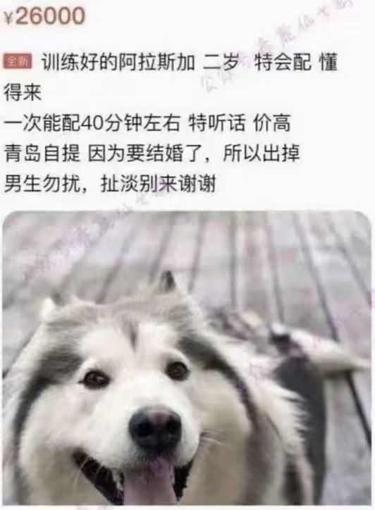 传奇开荒截图
