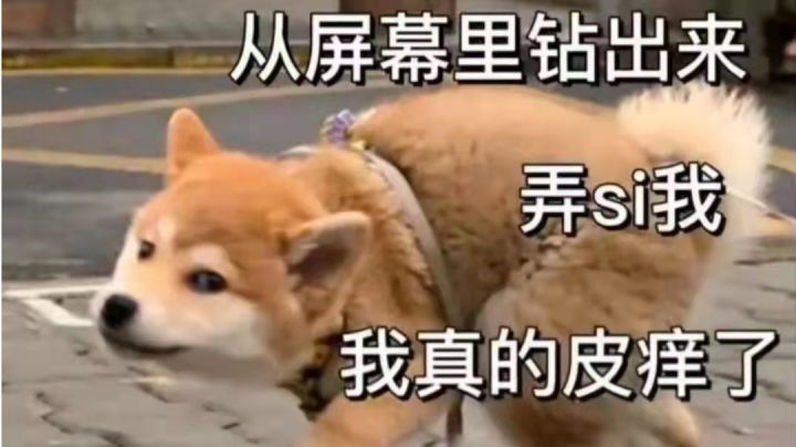 这河狸吗？排位最后一天氪佬都拿不到三档奖励截图