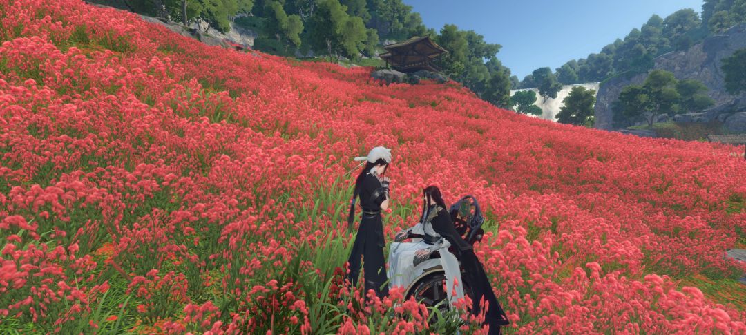 和师兄同游了 1