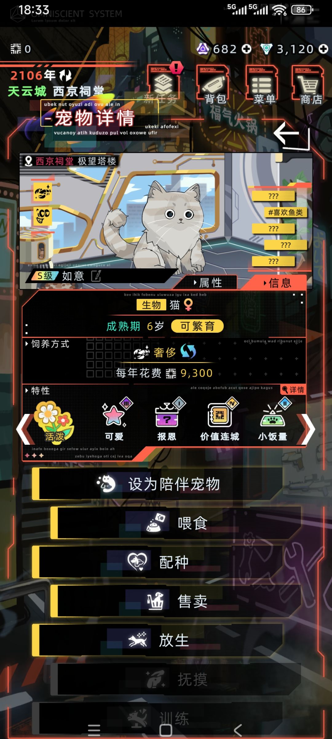 这两只猫为什么配不上种了 1