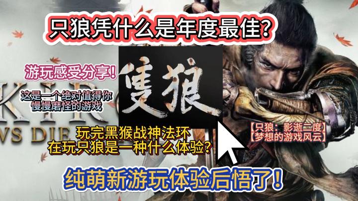 只狼凭什么是年度最佳?纯萌新游玩体验后悟了【只狼:影逝二度】截图