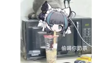 主道族，赤一核度排序与副族选择