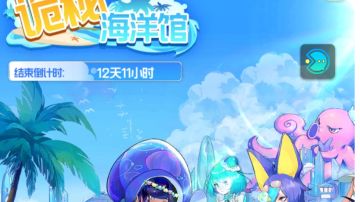 关于新活动的感受与建议。