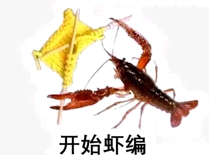 伴侣系统应该做点改变截图