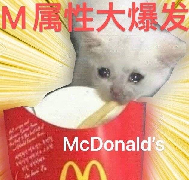 有无前辈带带 1