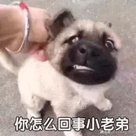异世界旅人新手攻略截图