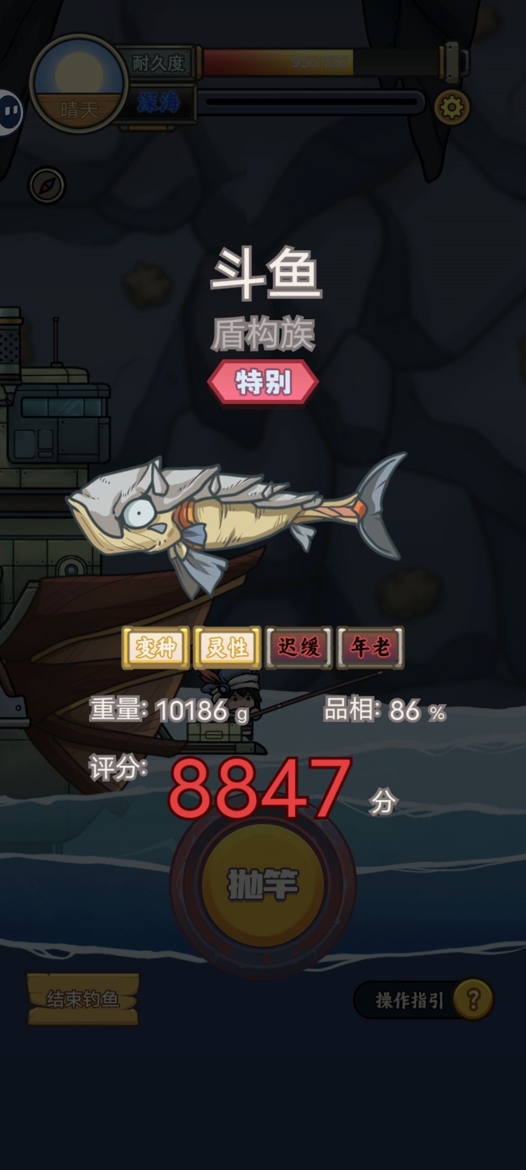 让我们说:谢谢斗鱼和漂亮螃蟹🐟🦀 2