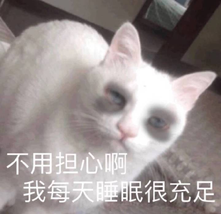 新活动 3
