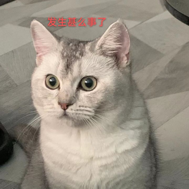 游遥最后一次售卖了,想要主题的别忘了买截图