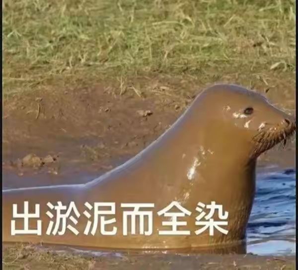 我回来了哦~截图