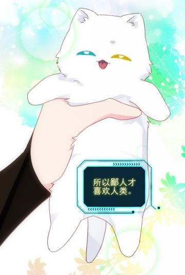 和友友的日常生活