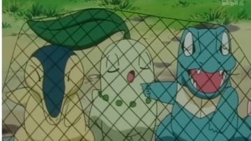 新版本充值见解