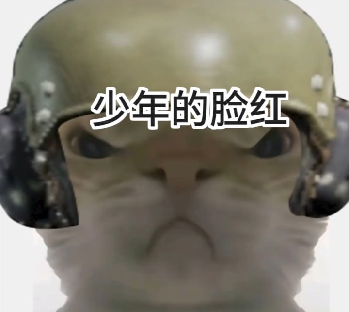重装安全区趣事儿截图