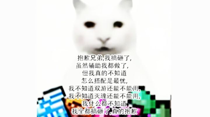 辅助详解【萌新别看】截图