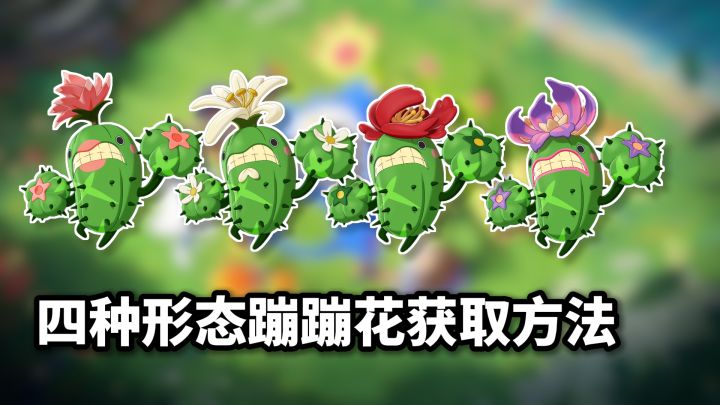 一个视频教会你蹦蹦花四种进化分支获取!截图