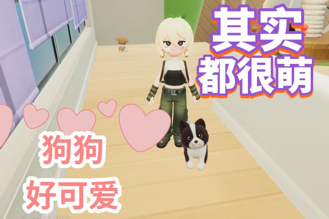 【心动小镇】今天有遇到心仪的狗吗?🐶 2