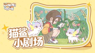 一场暖心相遇，解锁你与猫鲨的专属羁绊