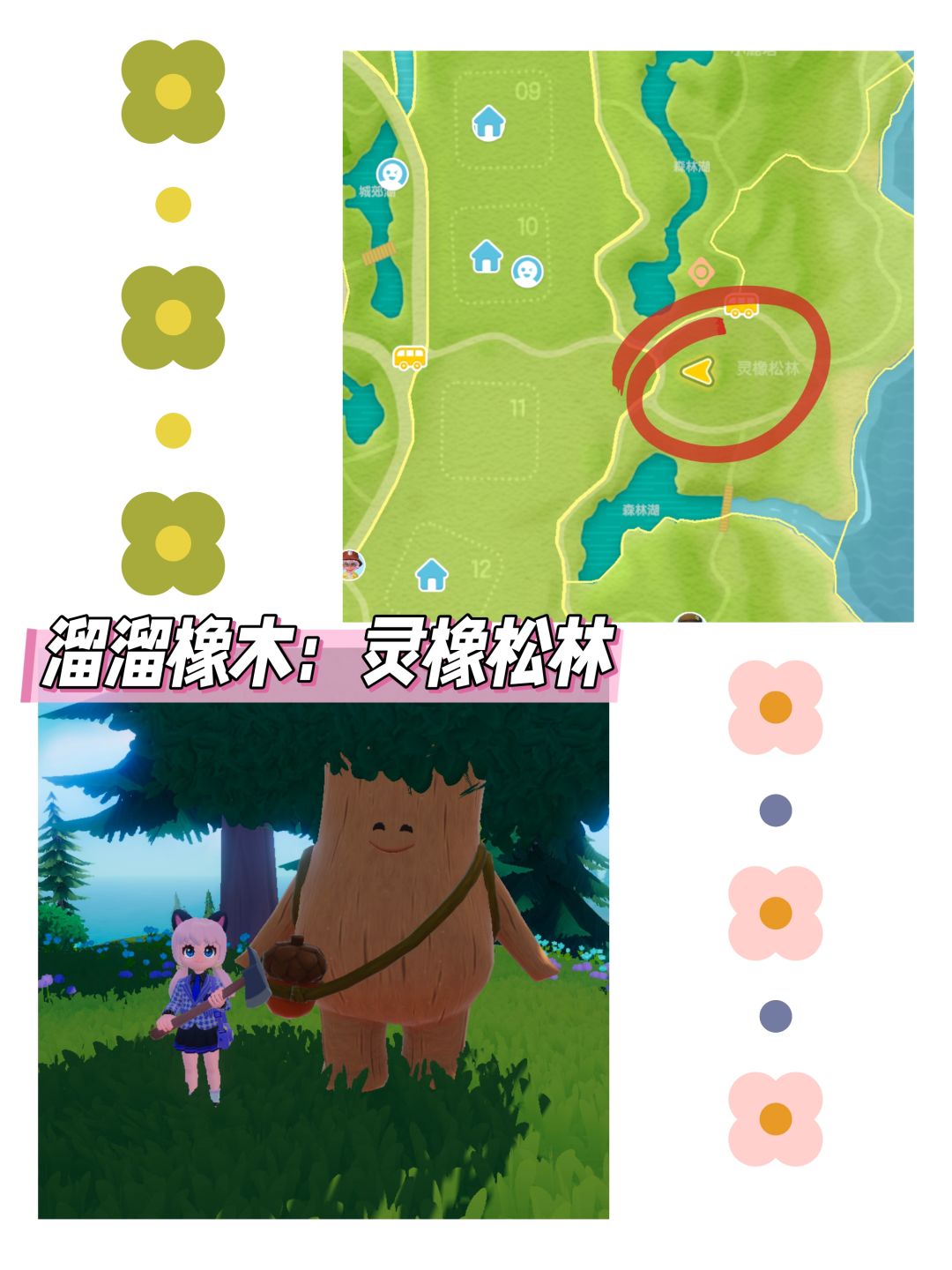 心动小镇日报(11.27)溜溜橡木+无暇萤石 3