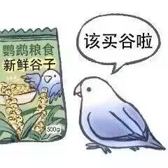 Torma匠造~抽奖活动~星期三开奖