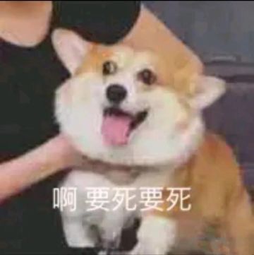 玩法扩充的讨论