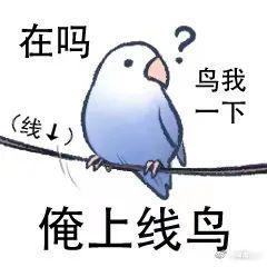 啥时候草系徽章试炼降难度 2