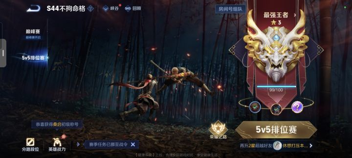 终于上王者了截图