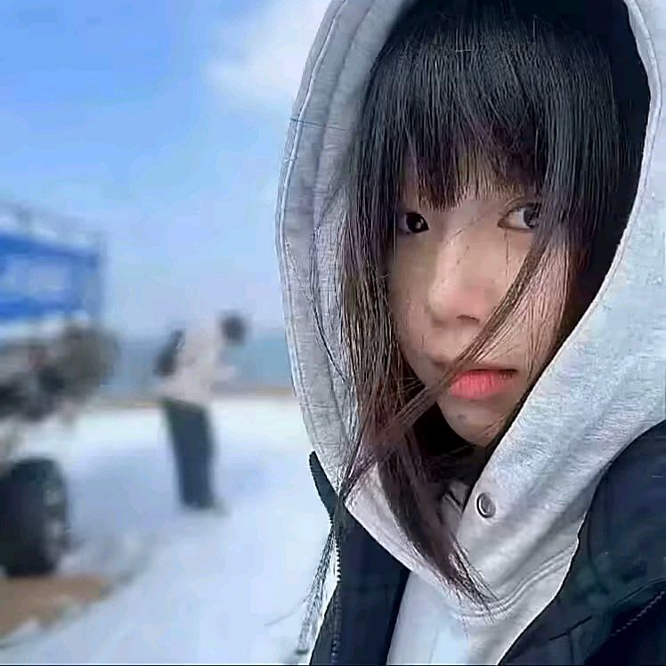动态图片 10