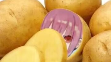 分享一套五孔宿木纯耐7k速剑坦配置