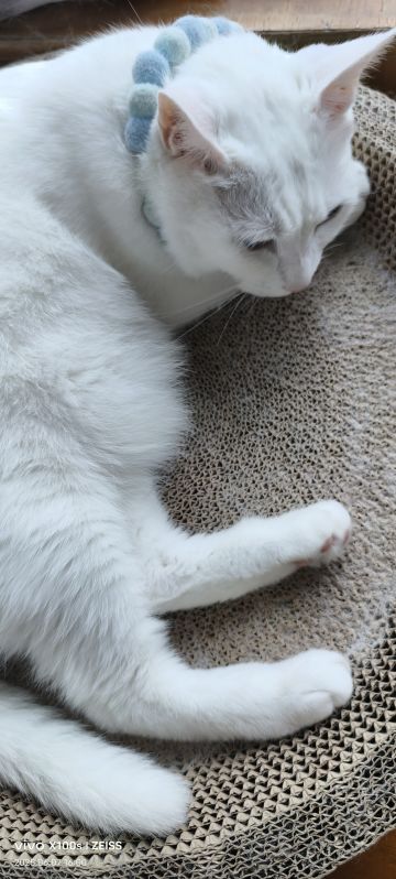 有一些事说明一下