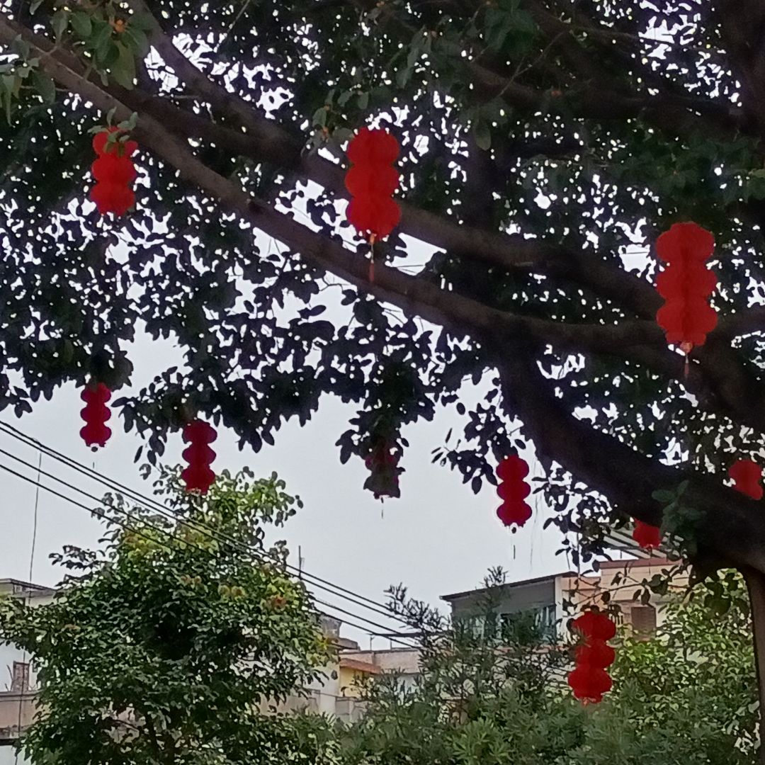 纯手欠,无聊(不喜勿喷) 7