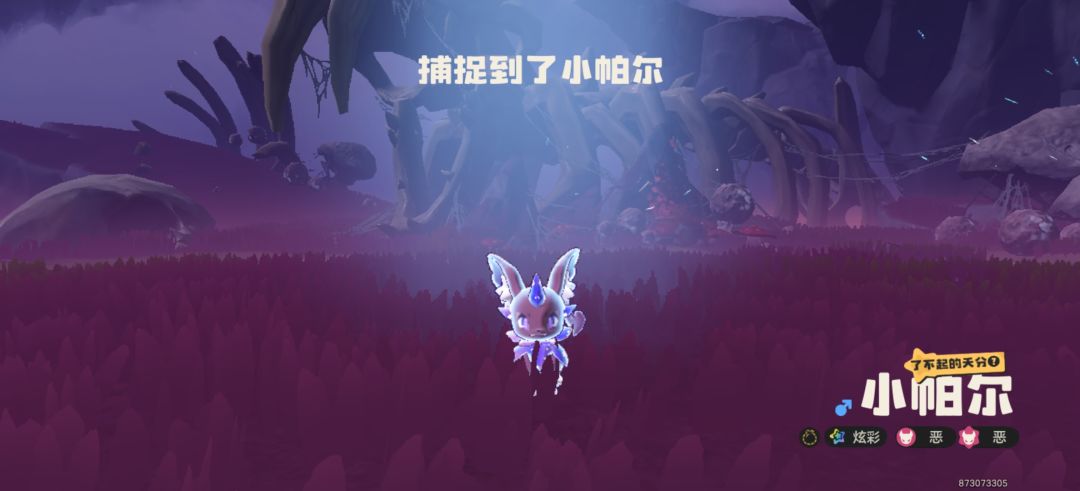 抓完才发现是炫彩 1