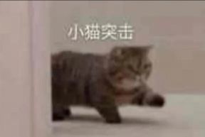 暴走直播精简版截图