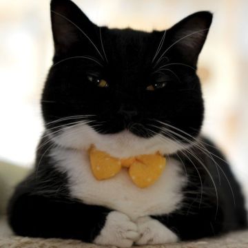 目前最全兑换码