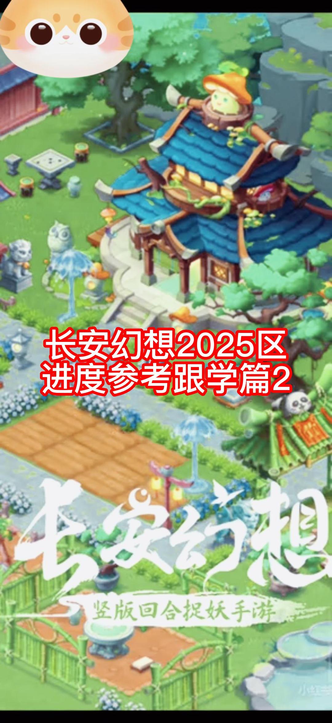 video-4640492