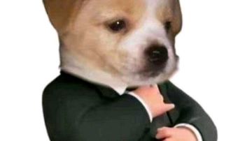 春日活动攻略①（贝壳活动）