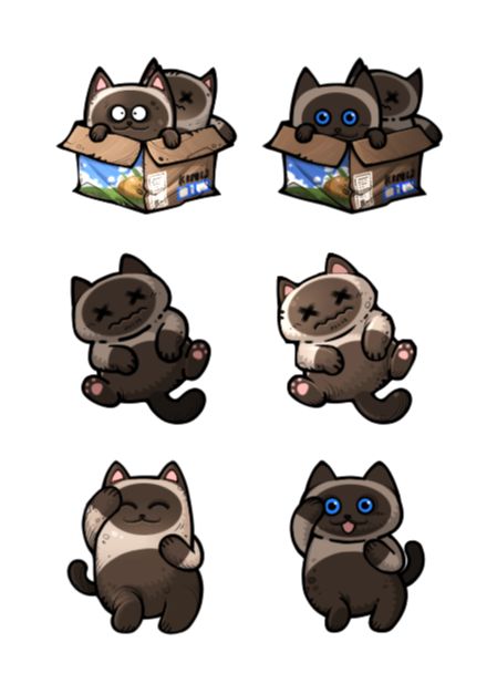 薛定谔的猫 2