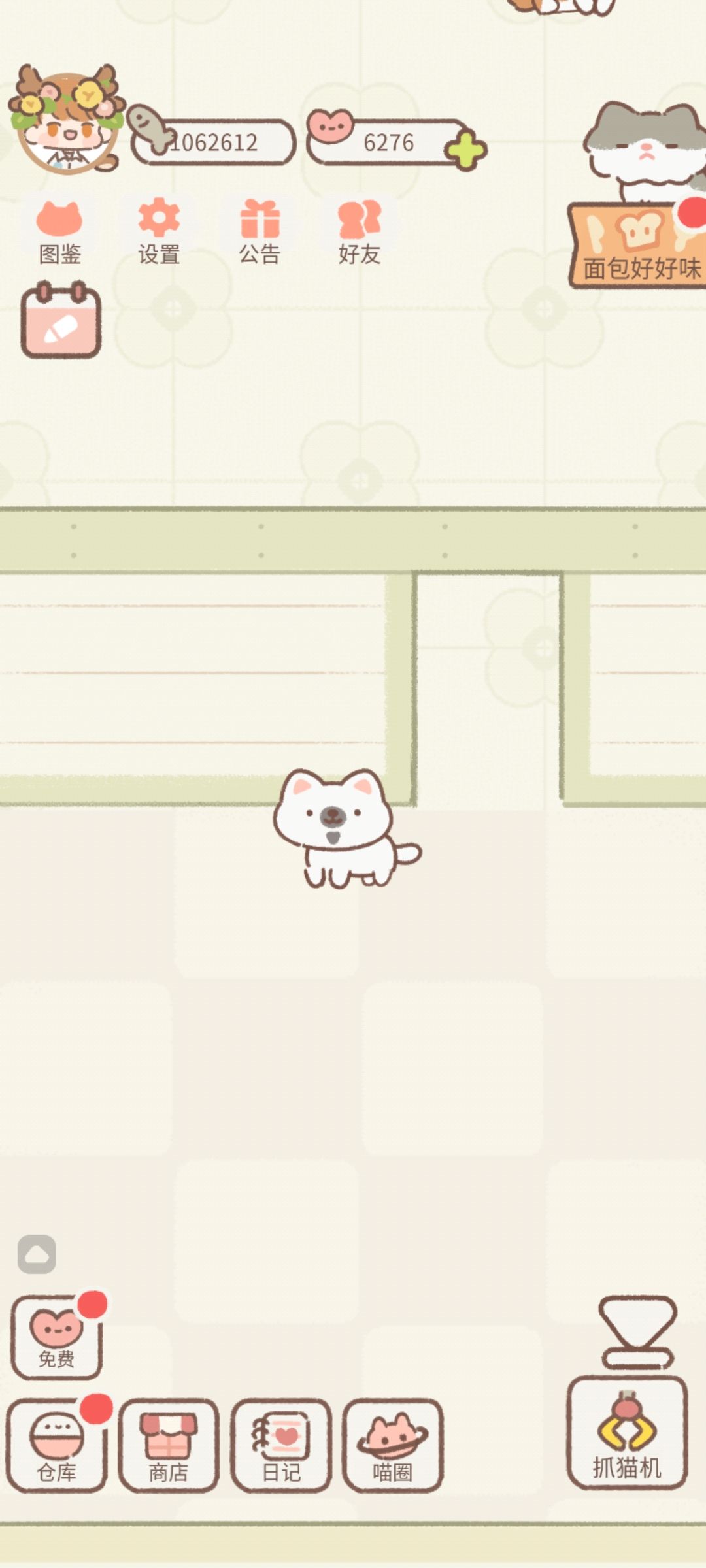姐妹们,你们有这种猫猫断腿的情况吗? 3