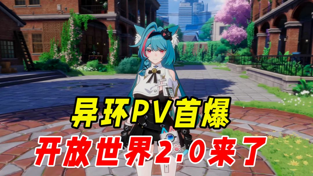 video-4246754