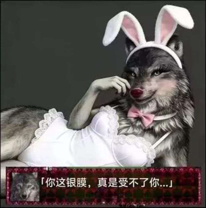 本次版本武器盘点截图