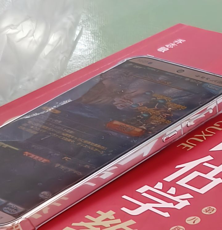 这是什么游戏?截图